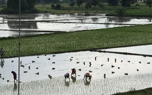 Sreyes Vikas program at Polagam Foundation