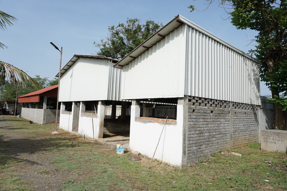 Modern cattle shed housing cows and goats in a clean, well-ventilated space.