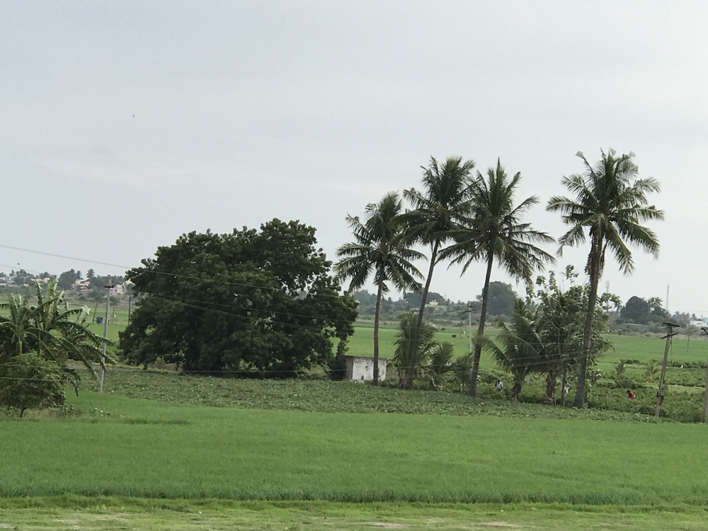 Serene landscape of Sreyes Farm with scenic views and natural beauty.