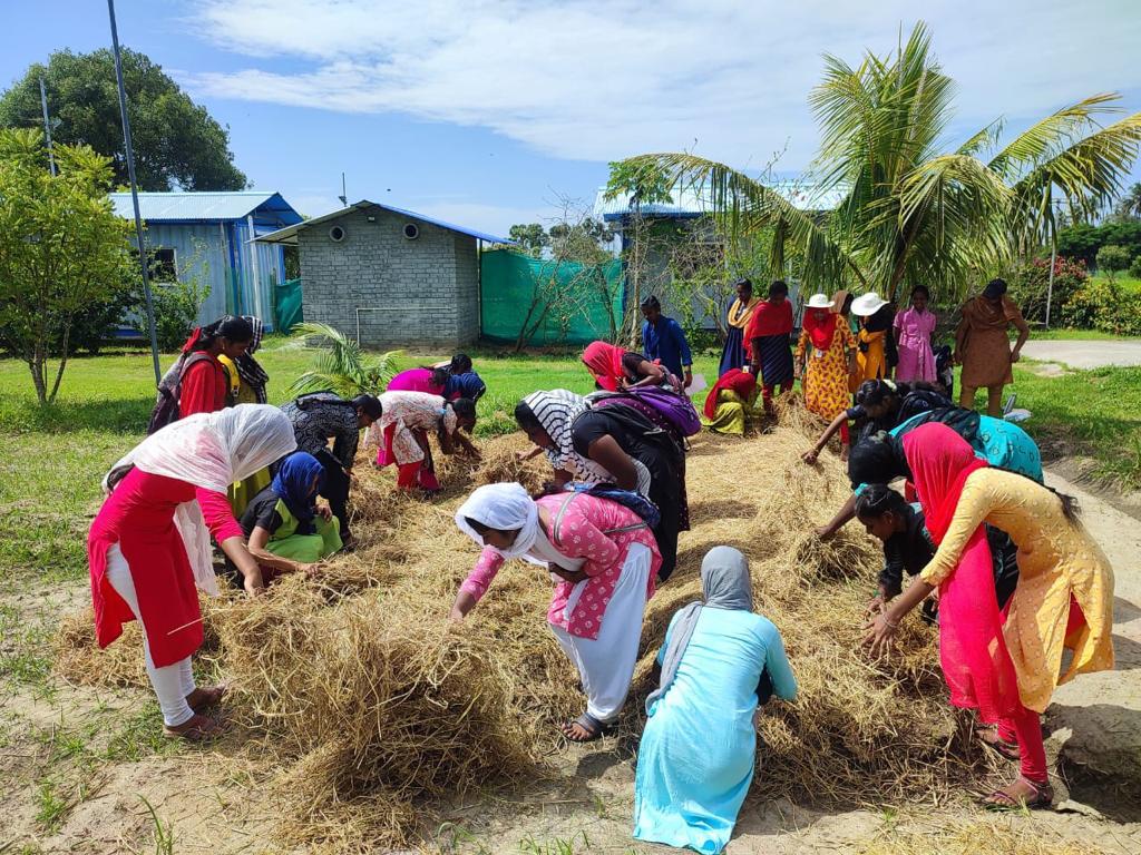 A smiling child holding a small plant, ready to plant it in fertile soil on the farm grounds.