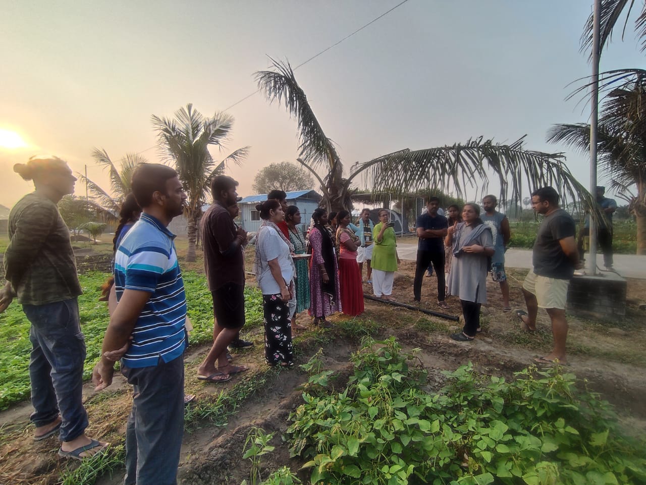Farmers discussing crop growth inside a greenhouse or covered farm plot, pointing to plants.