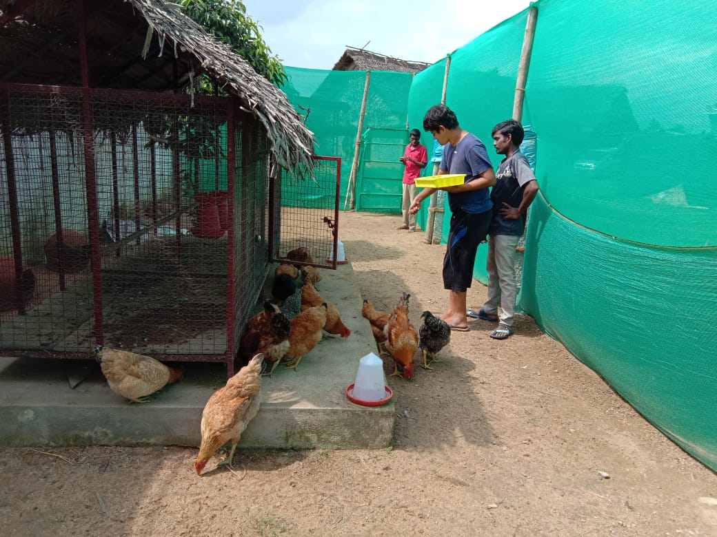 Three men standing in a farm field discussing agricultural work