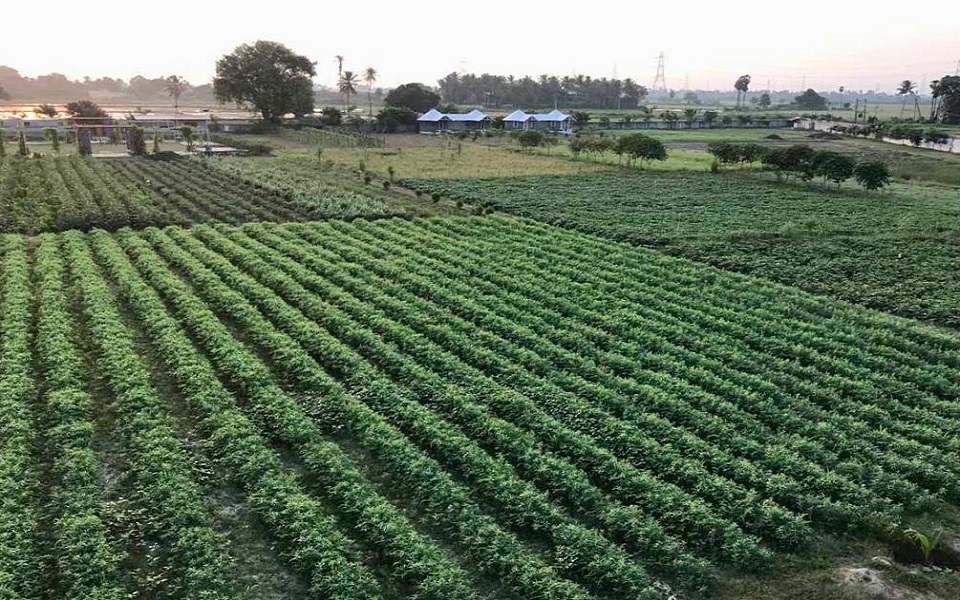 Polagam Foundation adults in activity